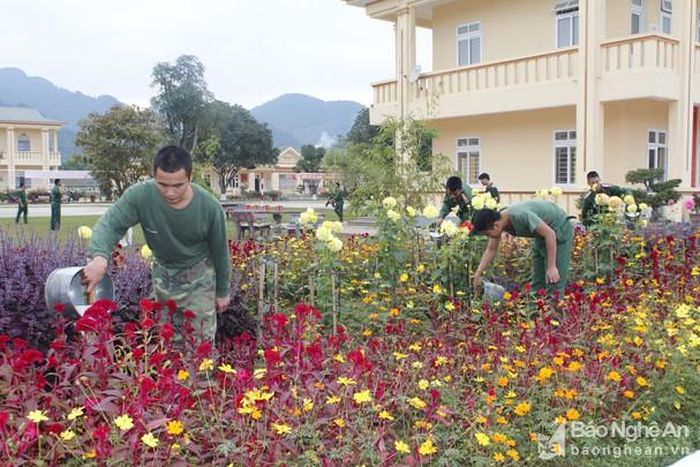 Để đón Tết bộ đội các đơn vị đã tập trung chăm sóc bồn hoa, cây cảnh. Đây là vườn hoa của Tiểu đoàn 4, Trung đoàn 335. Ảnh: Lê Tường Hiếu