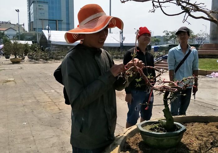 Chăm chút hoa từng chút một tại chợ.