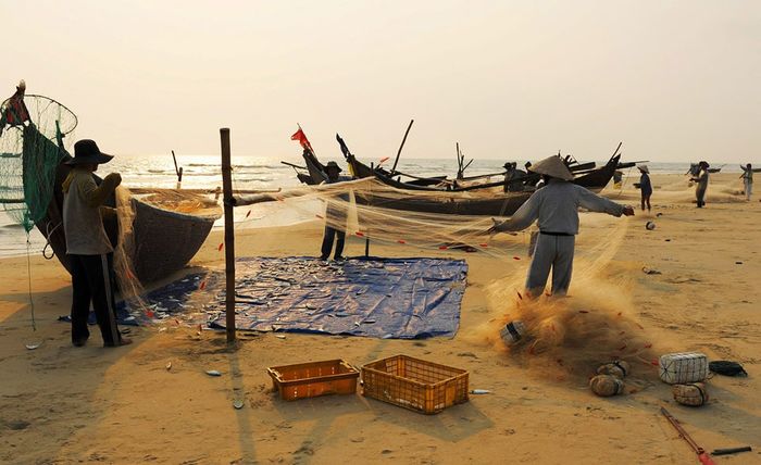 Chong đèn lao động cả cả đêm và đến sáng vẫn còn gỡ cá.