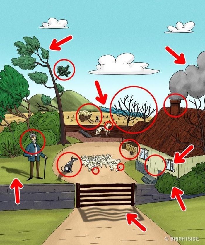 Có tới 25 điểm bất thường trong bức tranh này.