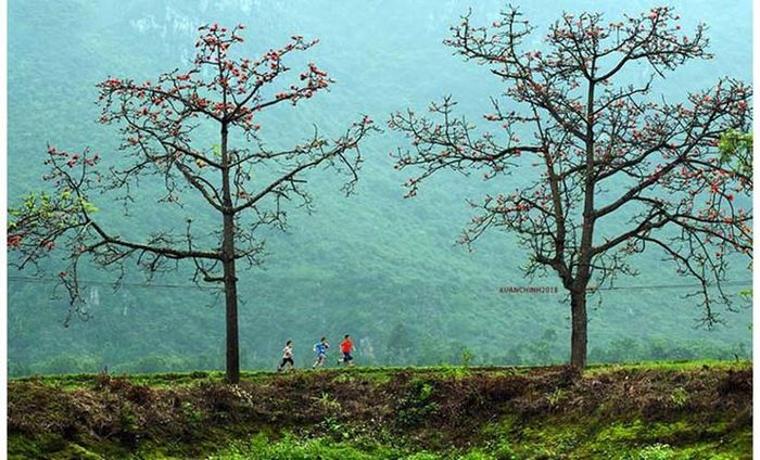 Và trẻ nhỏ với các trò chơi bên gốc gạo cũng được Xuân Chính thu gọn trong ống kính