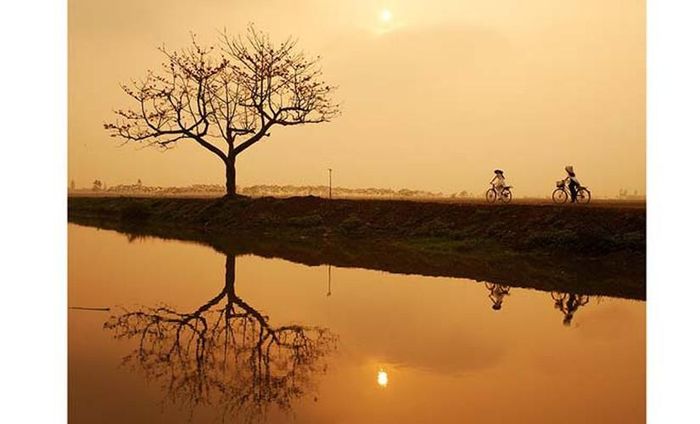 Thiếu nữ với tà áo dài đã tạo thành điểm nhấn trong các bức ảnh do Xuân Chính chụp về hoa gạo