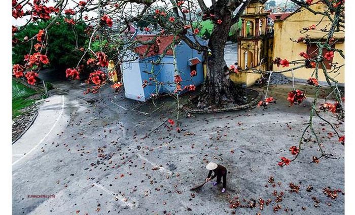 Dù sinh ra và lớn lên tại Hà Nội nhưng NSNA Xuân Chính luôn nặng lòng với làng quê Việt Nam