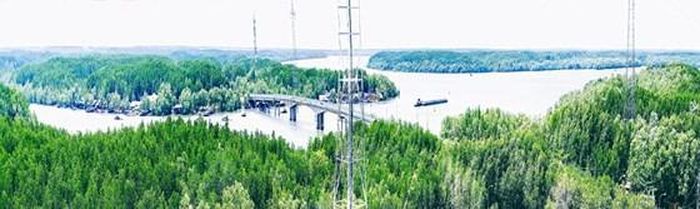 Rừng Sác nhìn từ trên cao như một thảm thực vật, được Unesco công nhận là khu dự trữ sinh quyển thế giới. Ảnh: P.LONG 
