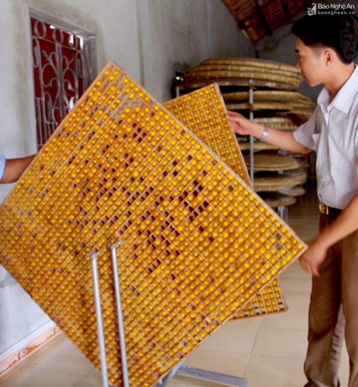 Nong kén kiểu mới xoay đã được ứng dụng ở Diễn Kim, giúp kén tiếp cận tốt với ánh nắng. Ảnh: Trân Châu
