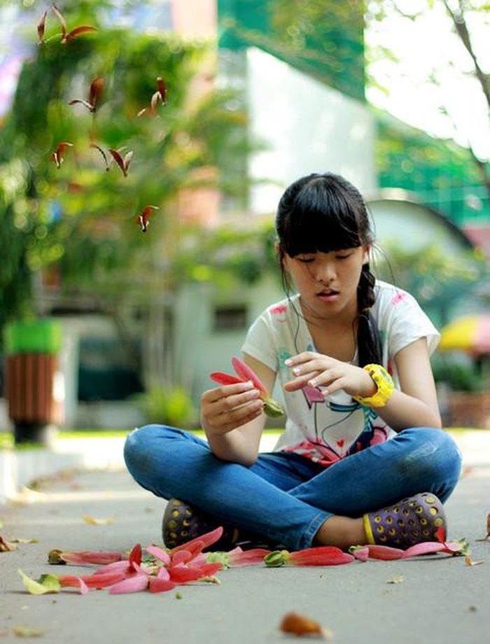 Những trái dầu không rực rỡ, không thoang thoảng hương thơm nhưng lại có một điệu múa trong gió làm mê đắm lòng người.