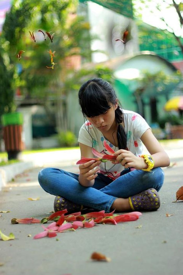Khi hoa dầu xoay tít trong gió cũng là lúc báo hiệu một mùa hè sắp tới, một mùa ký ức sắp về.
