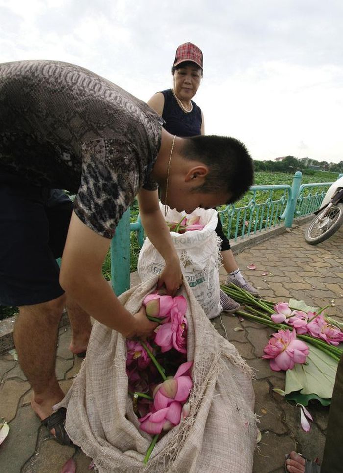 Trà dùng để ướp cũng phải là loại hảo hạng.
