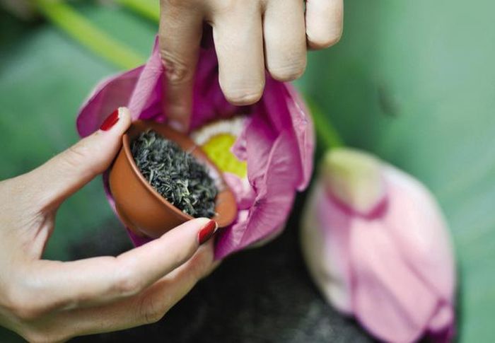 Những người thu mua sen ướp trà phải có mặt tại đầm từ rất sớm.