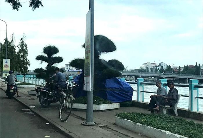 Cuộc sống bình yên trở lại tại Bình Thuận.