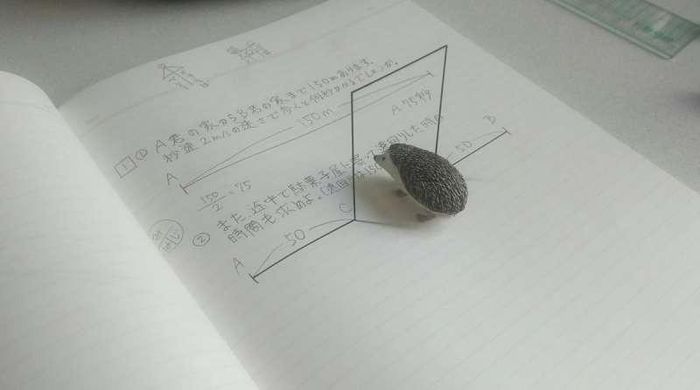 Nhìn vào bức tranh 3D này, rất nhiều người bị ảo giác rằng con nhím có thể đi qua cánh cửa không gian được tạo ra chỉ bằng những nét mực cực kỳ đơn giản.