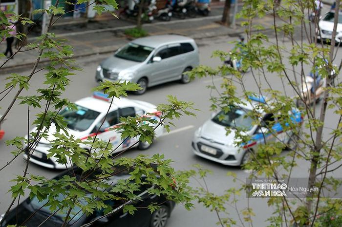 Ảnh gốc