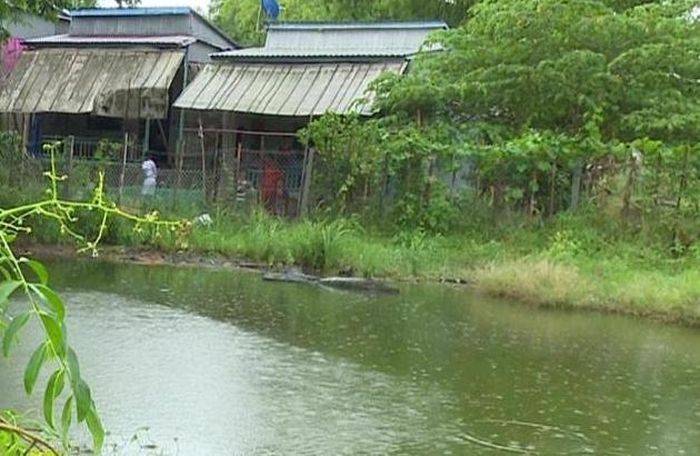 Khu vực xảy ra trường hợp cháu N.T.K.L. tử vong do té ao