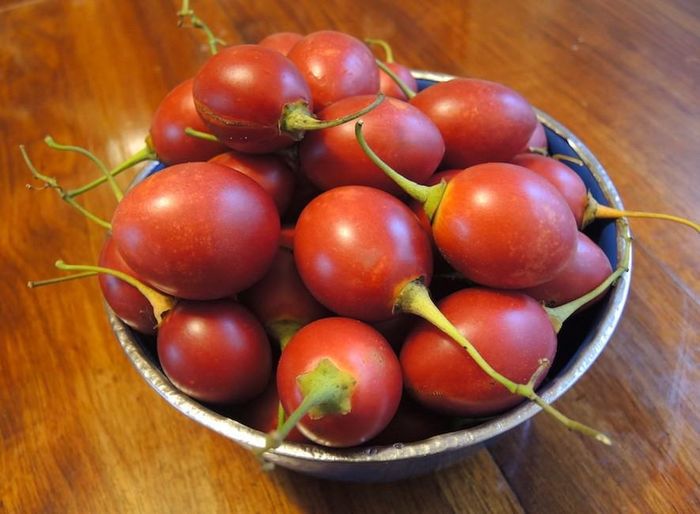 Quả này nhiều thịt, khi ăn sẽ thấy hương vị thịt cùi thơm ngon, hơi chua ngọt.