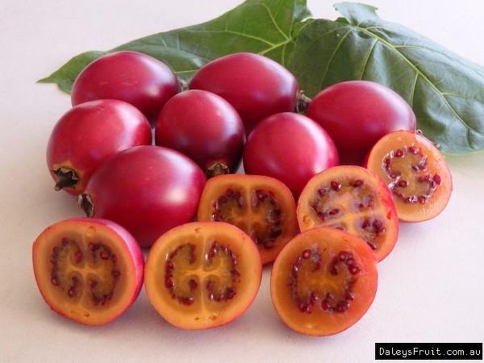 Tamarillo được đánh giá là loại cà chua giàu các vitamin và khoáng chất, có thể ăn tươi trực tiếp như các loại trái cây khác hoặc dùng xào nấu các món như bình thường.