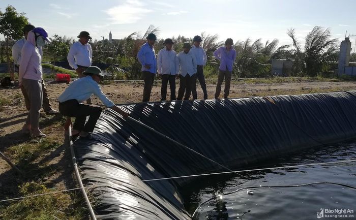 Nhiều người học đến học cách nuôi tôm bằng nước mặn ngầm của anh Mai Quang Hùng. Ảnh: Mai Giang