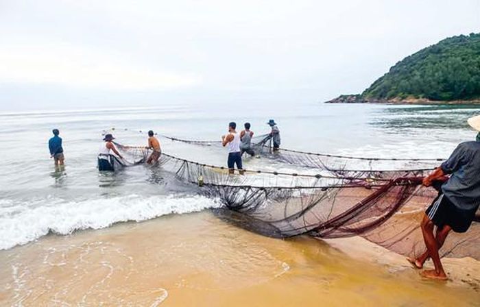 Nghề kéo lưới rồng chỉ đánh bắt ven bờ. 