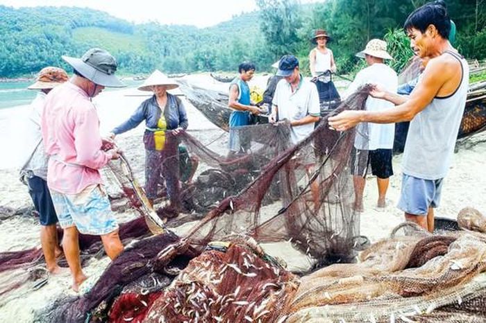 Những mẻ cá trĩu nặng từ nghề kéo lưới rồng giúp tình làng nghĩa xóm thêm gắn kết. 