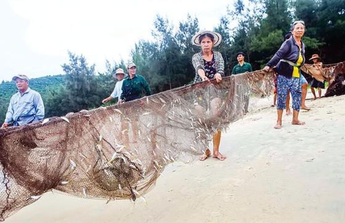 Khoảng 20 ngư dân thôn Đông Dương, xã Vinh Hiền, huyện Phú Lộc (tỉnh Thừa Thiên Huế) thường ra biển từ sáng sớm để bắt đầu kéo lưới rồng. 