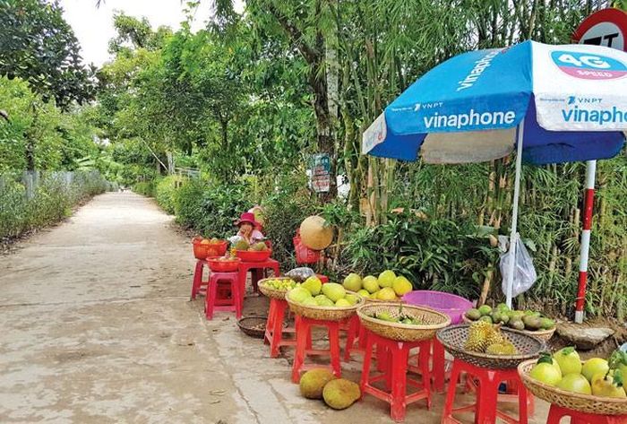 Cảnh yên bình ở làng trường thọ. Ảnh: Hoài Văn.