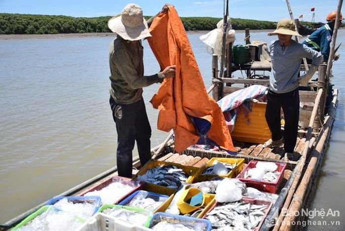 Do nghỉ lễ dịp 2/9, nên ngư dân huyện Diễn Châu đi biển ít so với ngày thường. Ảnh: Xuân Hoàng