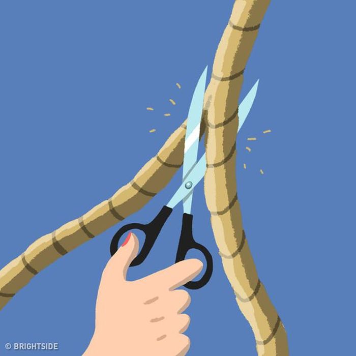 Bằng cách xẻ đôi sợi dây thừng theo chiều dọc, công chúa có được sợi dây dài 50 m và trốn thoát khỏi tòa tháp.