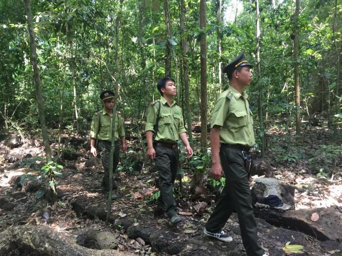Đội ngũ kiểm lâm đã có những thay đổi và nâng cao năng lực thu thập, cập nhật, xử lý báo cáo thông tin. Ảnh: Thanh Hương/BNEWS/TTXVN