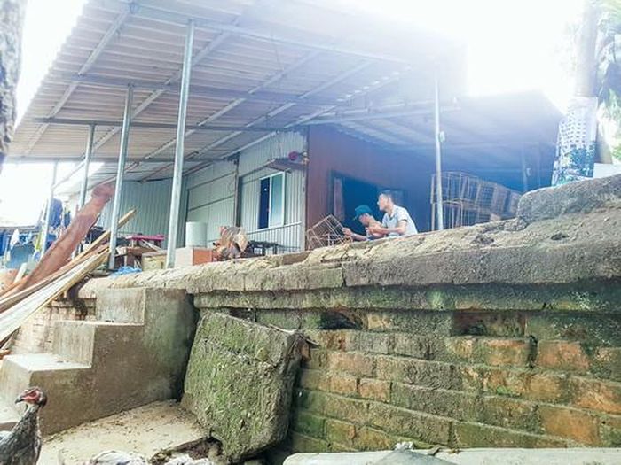 Những hộ dân đang sống trong những túp lều trên kinh thành Huế.