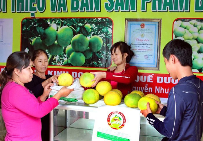 Bưởi Quế Dương (huyện Hoài Đức) tham gia hội chợ xúc tiến thương mại. Ảnh: Thái Hiền