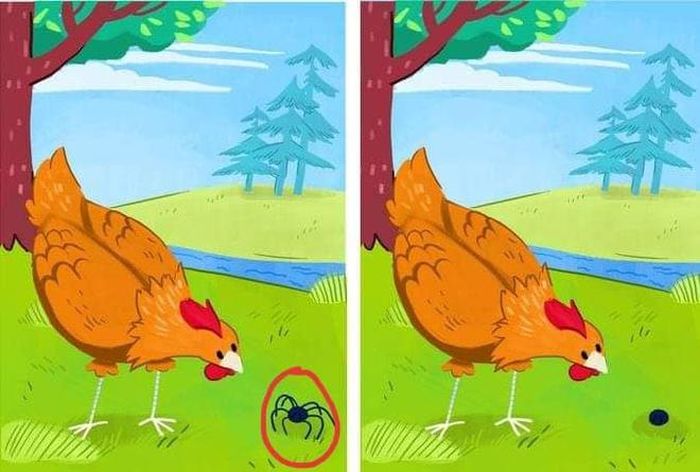 Đáp án 8 điểm khác nhau đó chính là 8 cái chân của con nhện.