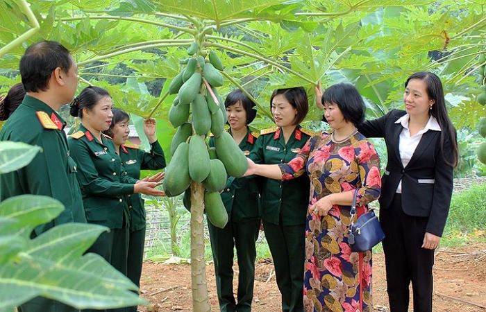 Các đại biểu tham quan mô hình tăng gia sản xuất của Hội Phụ nữ Bộ chỉ huy Quân sự tỉnh Tuyên Quang, ngày 22/11