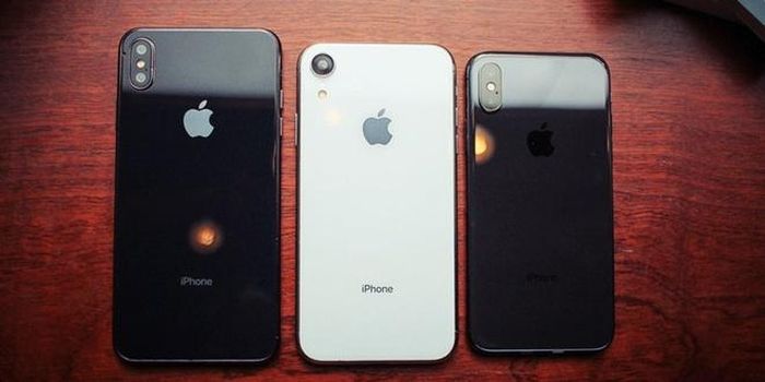 Theo chia sẻ từ phía các chủ cửa hàng, cả ba mẫu iPhone 2018 xách tay đều bán chậm.