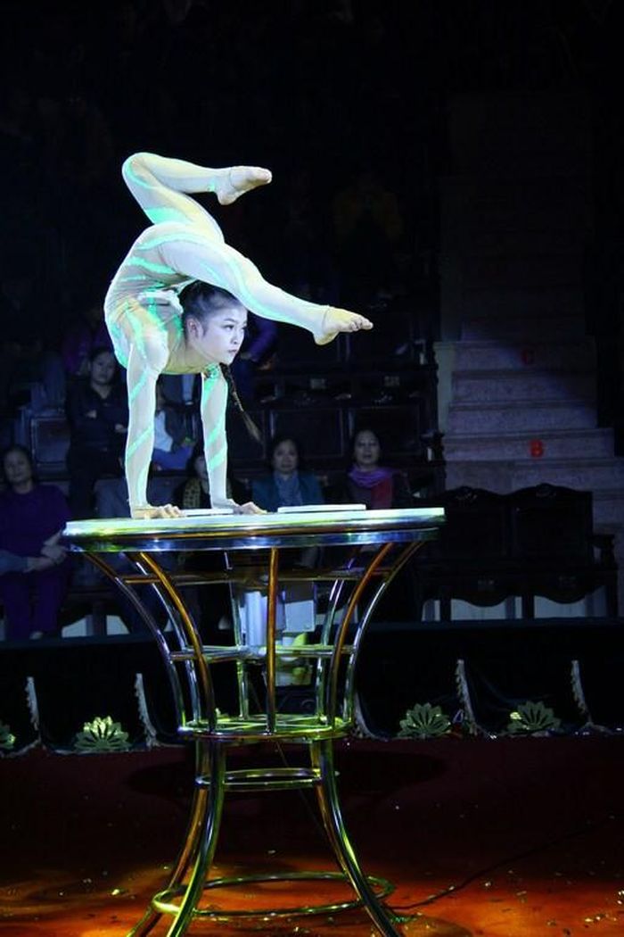 Lễ diễu hành quy tụ gần trăm nghệ sĩ xiếc khắp mọi miền