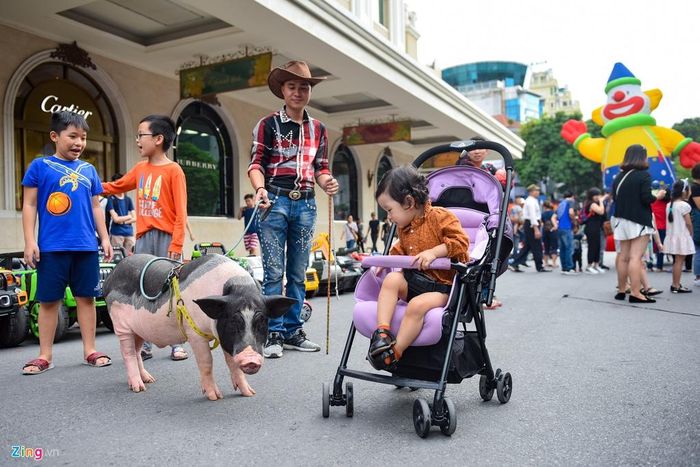 Ngoài lạc đà khối diễu hành xiếc thú còn có rất nhiều loài động vật biểu diễn như trâu, dê, lợn, ngựa, vẹt, chim bồ câu, chó, mèo... 