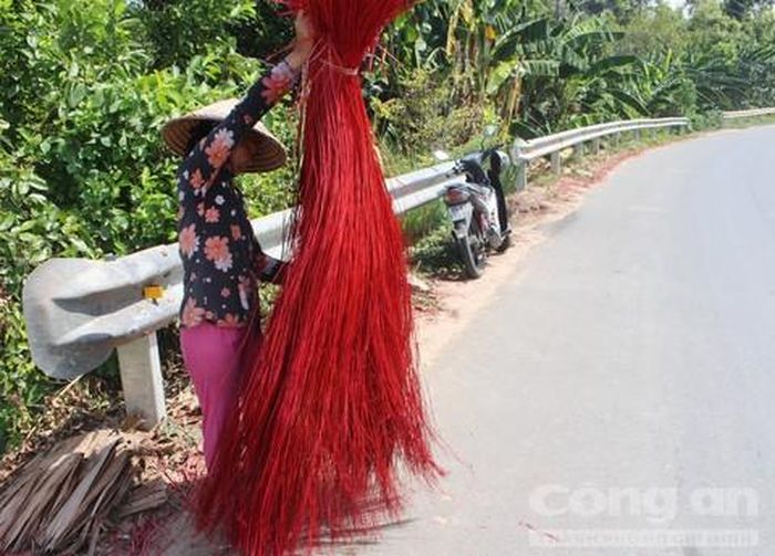 Từng sợi lác được đảo đều để chiếu làm ra đạt chất lượng.