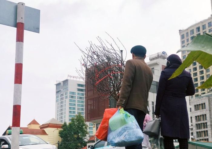 Người xa quê khi trở về cũng mang theo một cành đào như để mang về quê nhà một chút không khí của mùa xuân Hà Nội.