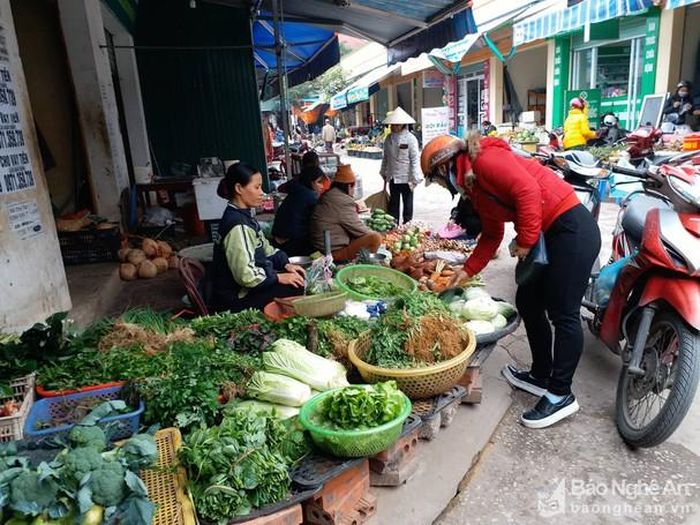 Nhiều loại rau xanh ở các chợ lẻ ở TP Vinh đã tăng giá hơn. Ảnh: Thanh Phúc