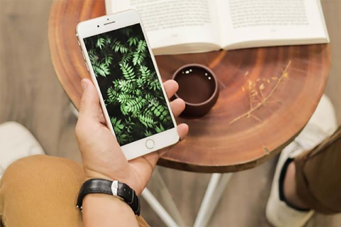 Màn hình iPhone 7 Plus sắc nét, màu sắc trung thực, góc nhìn rộng