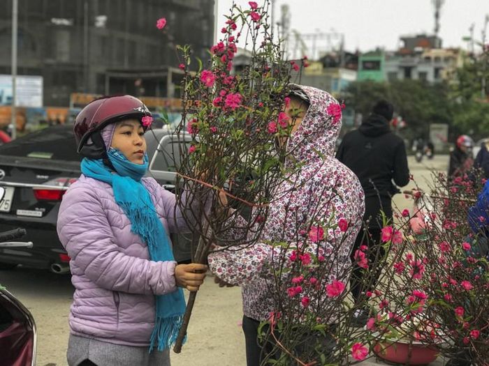 Mặc dù giá bán không hề “mềm”, song hiện khá nhiều khách chọn mua cành đào trên đường Lạc Long Quân là khá nhiều. Chị Huyền (áo khoác tím trong ảnh) chia sẻ: “Năm nào tôi cũng mua cành đào để trang trí bàn thờ kịp cúng ông Công, ông Táo, mang không khí Tết sớm về gia đình. Hoa đào lâu tàn không kém ly hay thủy tiên. Tôi mua cành về cắm bình vì diện tích nhà nhỏ".