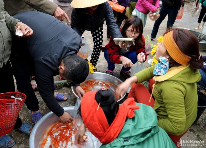Hàng cá chép các chợ quê tấp nập khách. Ngày này, người dân thường mua cá theo con, tùy vào con to, con nhỏ mà cá chép được mua từ 10 - 15 nghìn đồng.