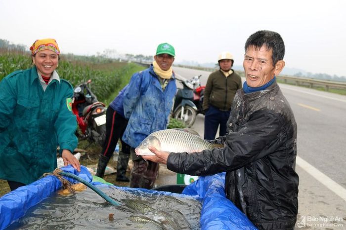 Trên Quốc lộ 46, một số gia đình còn bán cá chép loại lớn. Phong tục dùng cá chép để cúng ông Táo những năm gần đây đang được người dân nông thôn chú trọng, do đó cá chép đang ngày càng hút khách chợ quê.
