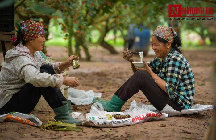 Bữa ăn trưa vội tại vườn của bà con Hiệp Thuận