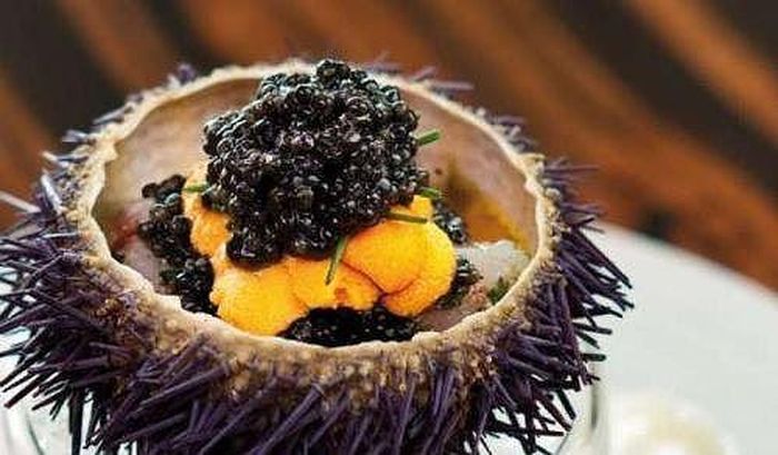 Có nơi gọi là nhum biển hay nhím biển, được ví như là nhân sâm của biển vì những tác dụng của nó, theo nghiên cứu của y học thì cầu gai là một món ăn tăng cường canxi rất hữu ích cho cơ thể. Bên cạnh đó, nó còn có tác dụng bổ thận, tráng dương, tăng cường sinh lực cho phái mạnh. Ảnh minh họa: Internet