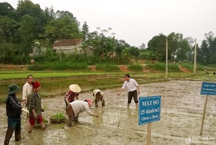 Cán bộ huyện Tân Kỳ cùng tham gia lao động với người dân. Ảnh tư liệu