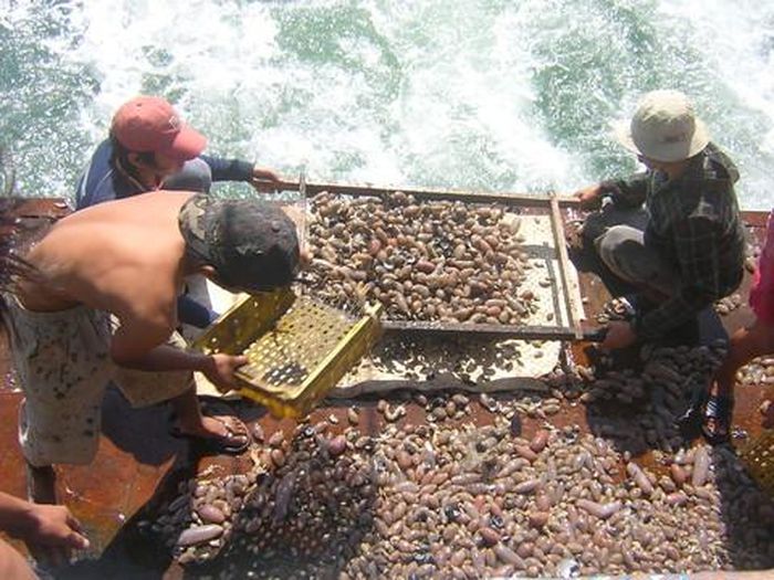 Thuyền viên đánh bắt hải sản