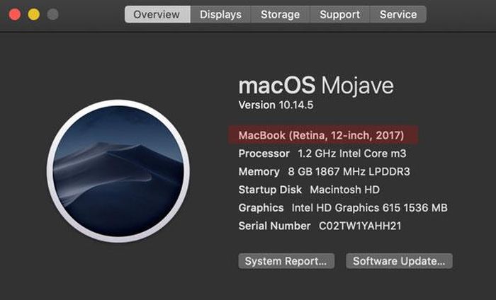 Thông tin máy do macOS cung cấp.