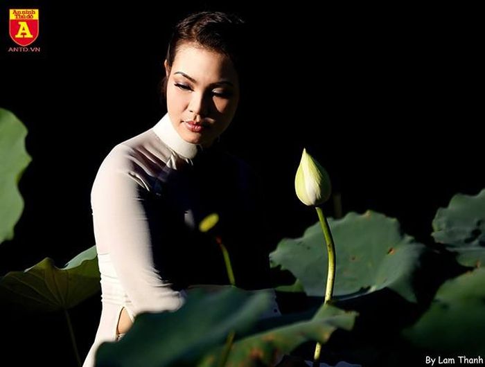 Sen trắng tinh khôi như người thiếu nữ ấp e, dịu hiền