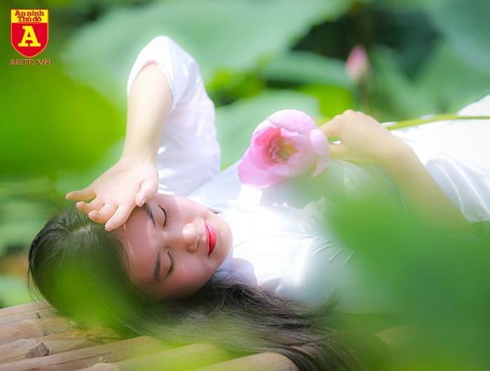 Bỏ lại phía sau những ồn ào, náo nhiệt của phố phường xô bồ, chỉ còn lại sự hồn nhiên, bình thản trong tâm hồn khi đến với đầm sen
