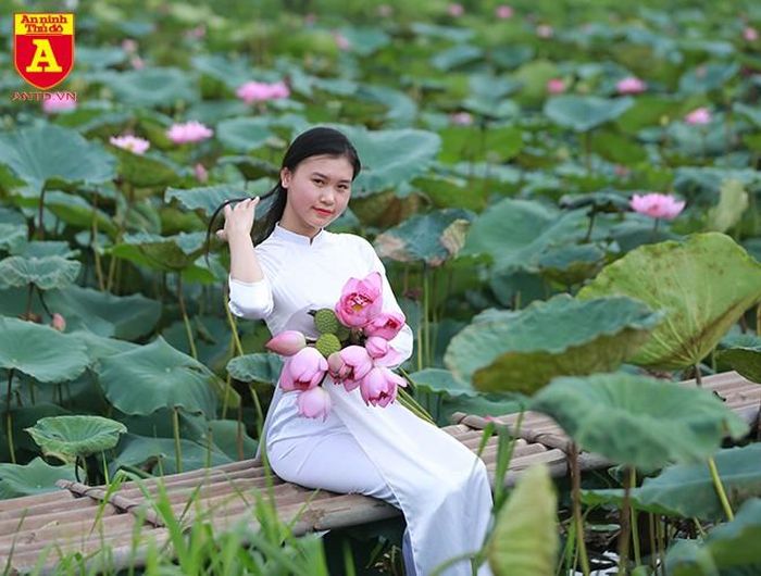 Lưu giữ những bức hình đẹp bên loài hoa nhẹ nhàng, tinh khiết của mùa hạ