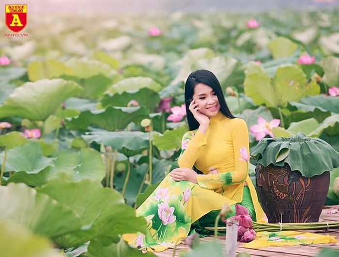 Vẻ đẹp của thiếu nữ với tà áo dài bên đóa sen hồng trở thành khung cảnh đẹp giữa hồ sen bát ngát